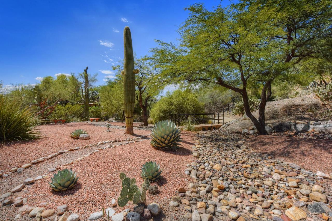 Camino Los Mochis Tucson Zewnętrze zdjęcie
